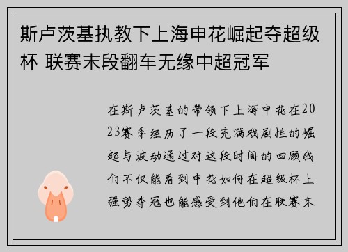 斯卢茨基执教下上海申花崛起夺超级杯 联赛末段翻车无缘中超冠军